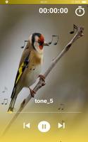 Goldfinch Tones syot layar 1
