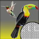 Nice Birds Pixel Art: Coloring By number APK