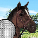 Pony Horse Pixel Art APK
