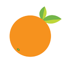 Fruit Classifier APK