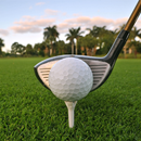 Mistrz sztuczek golfowych aplikacja
