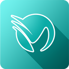 vHandicap icono