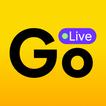 Golive Light icon