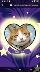 Descargar APK de Amor Foto Corazón  Valentín