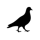 Fake GPS location & Routes APK