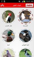 اصوات الطيور скриншот 1