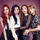 Blackpink GIF Photos APK