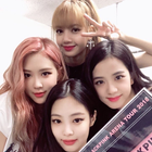 BLACKPINK Puzzle Wallpaper icône