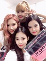 BLACKPINK Puzzle Wallpaper captura de pantalla 1