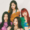 Blackpink Sticker Photo Editor