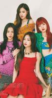 Blackpink Sticker Photo Editor Affiche