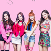 Blackpink Sticker Wallpaper APK