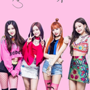 Blackpink Sticker Wallpaper APK