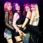 Blackpink Wallpaper icône