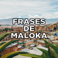 ”Frases de Maloka
