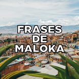 Frases de Maloka