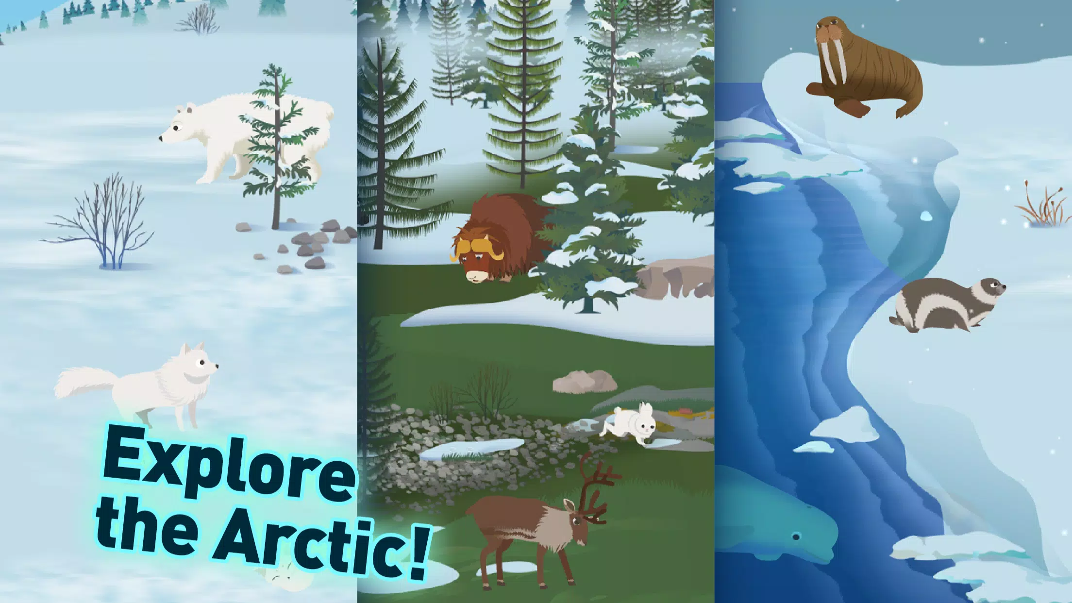 MarcoPolo Arctic APK for Android Download
