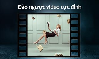 Tua Ngược Video bài đăng