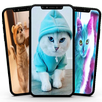 Cute Cats Wallpaper APK