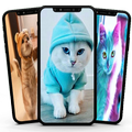 Cute Cats Wallpaper