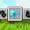 Morph Minecraft Mod APK