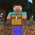 Carry On Minecraft icône