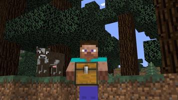 Carry On Minecraft poster