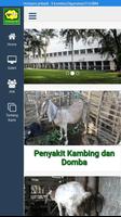 Go-Sheep Vet imagem de tela 1