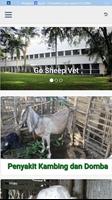 Go-Sheep Vet imagem de tela 2