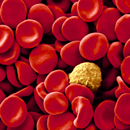 Manual Práctico de Hematología APK