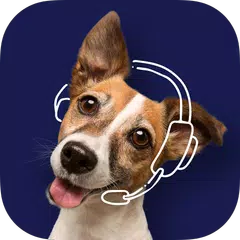 Fetch Pet Insurance アプリダウンロード