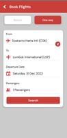 Lion Air screenshot 1