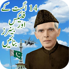 Pak Flag Flex maker 14 august-icoon