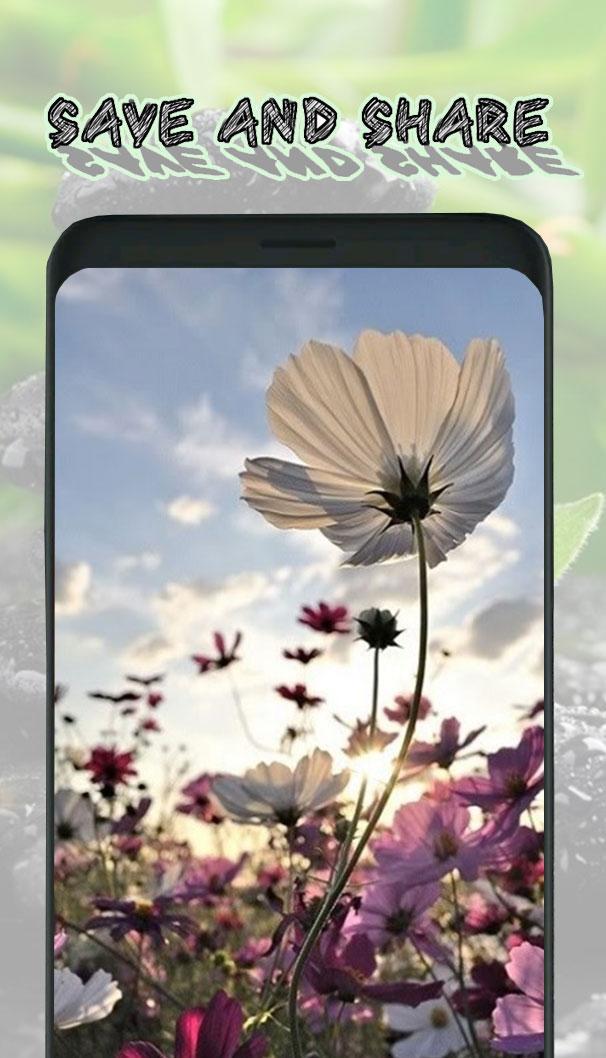 Android 用の リラックスできる自然の壁紙4k Apk をダウンロード Android 用の リラックスできる自然の壁紙4k Apk をダウンロード