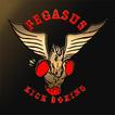 Pegasus Studio アイコン