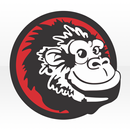Gorilla Car Wash APK