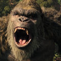 King Kong Games 3D 2022
