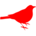 Kootenay Birds