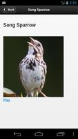 Kootenay Birds capture d'écran 3