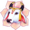 Gau Mata