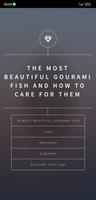 Gourami Fish Care Guide bài đăng