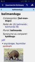 Dictionnaire Gourmanchema Screenshot 2