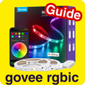 govee rgbic guide