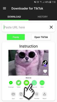 Video Downloader for TikTok 截图 1