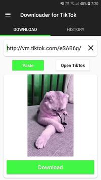 Video Downloader for TikTok 截图 2