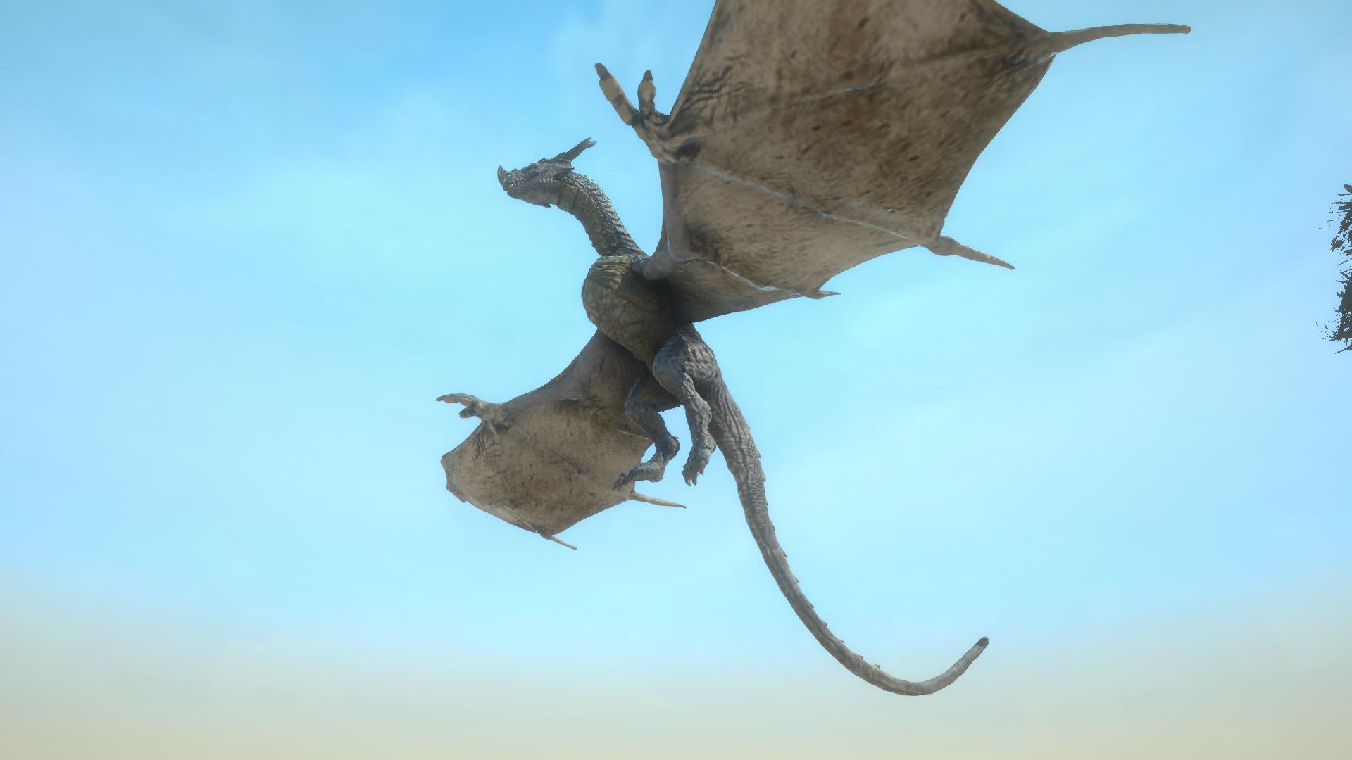 Dragon survival Dragon survival