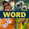 Word 4 Pics
