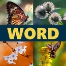 APK Word 4 Pics