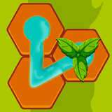 Water Link: Hex Puzzle أيقونة
