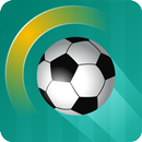 Smash Kick: Soccer Fury-APK